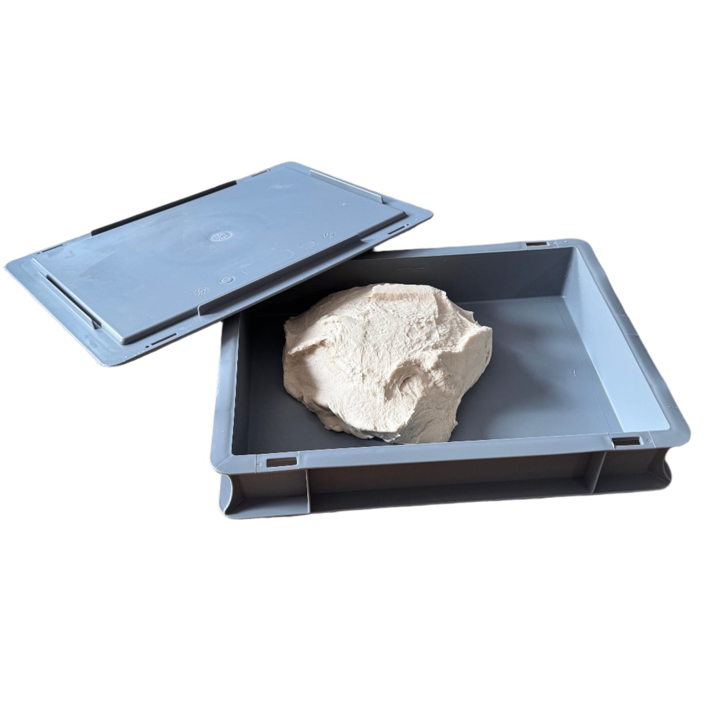 Pizza Dough Ball Proving Trays and Lids - Bread Leavening - Fits in most Fridges - Stackable
