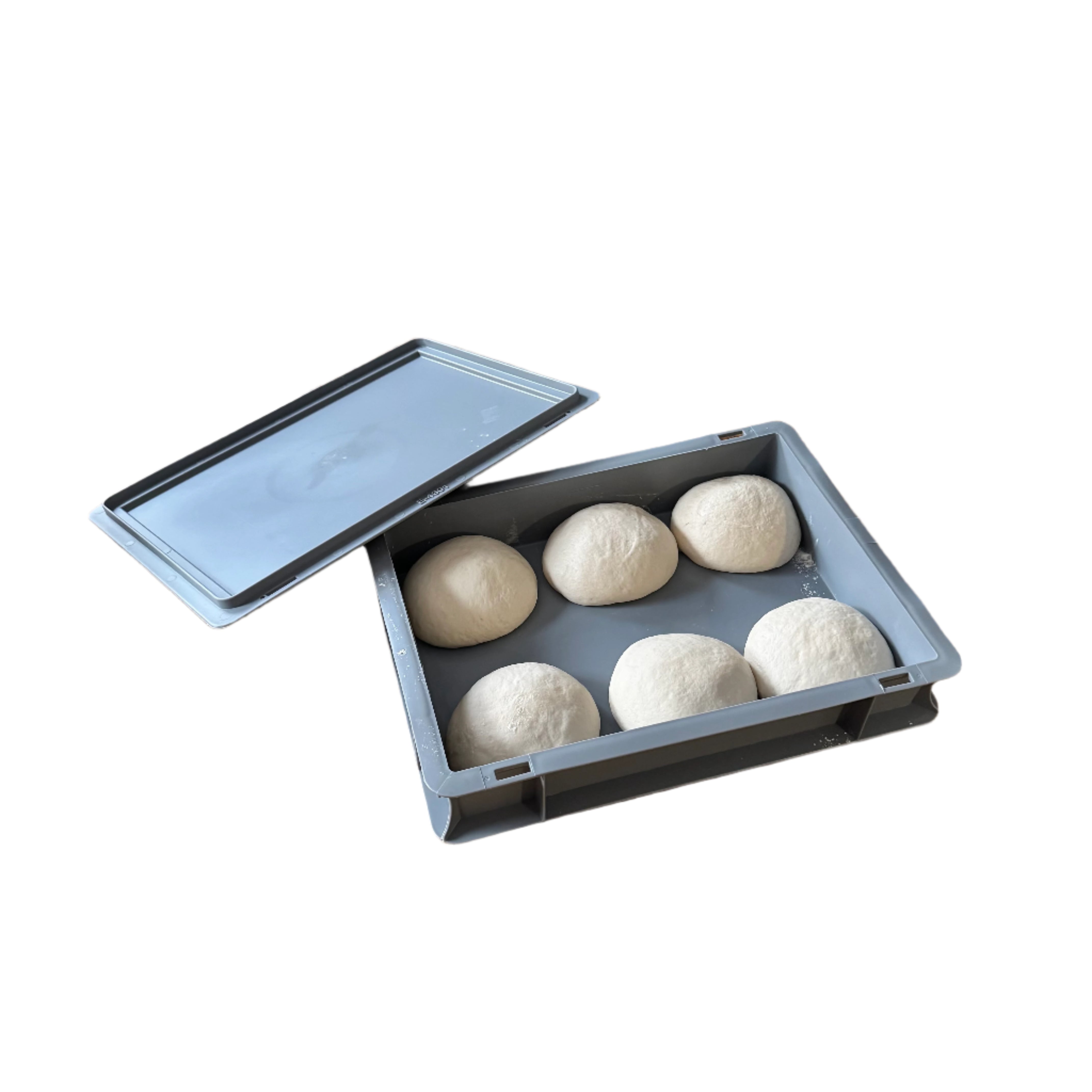 A gray plastic proving tray with six rounded dough balls inside, accompanied by a clear lid placed outside of the tray.