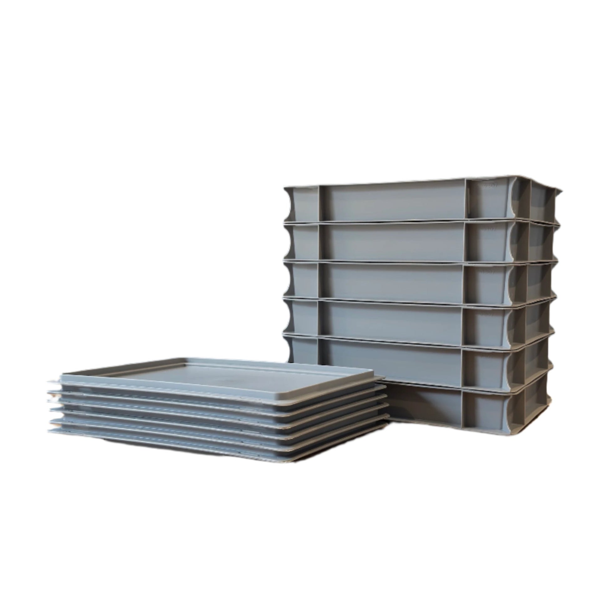 dough ball 6 trays and 6 lids