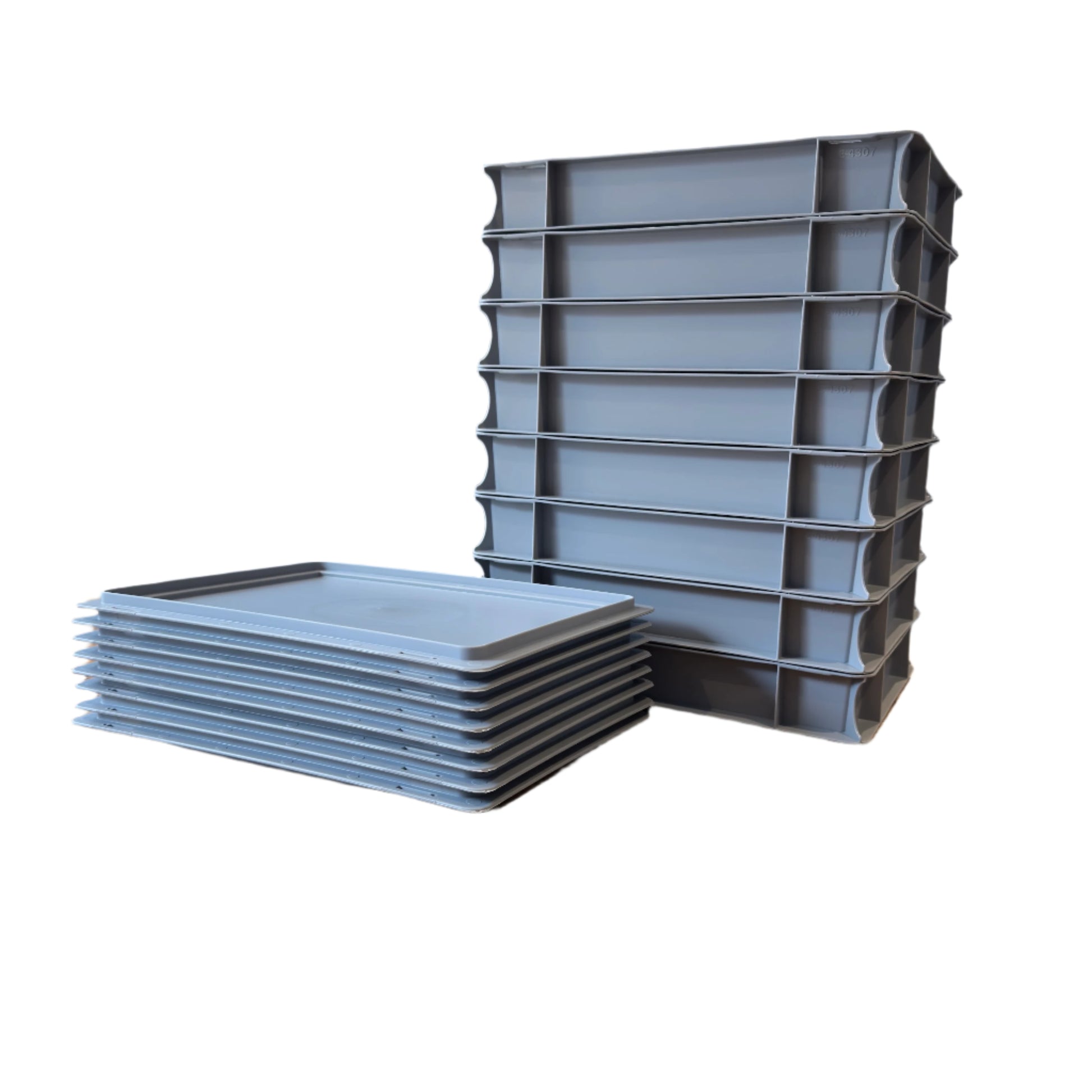 dough ball 8 tray and 8 lids