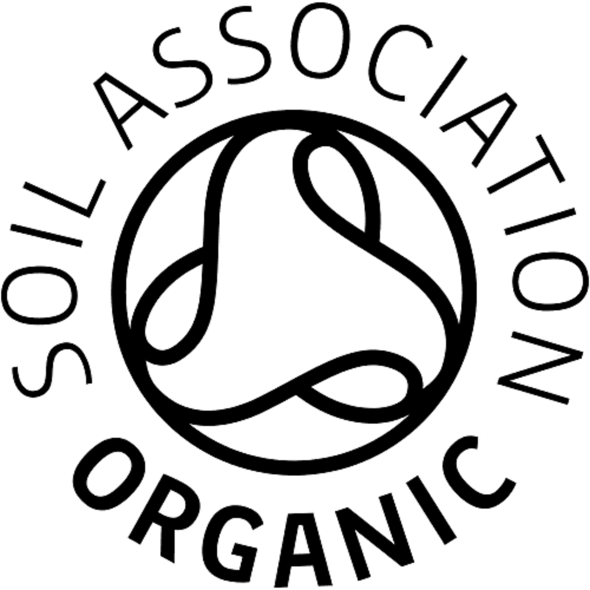 Soil Association certified organic pizza dough